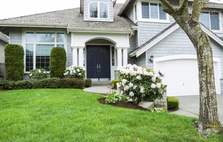Shrubs pruned to maintain healthy growth. Colorful front yard landscape that adds charm for inviting visitors.